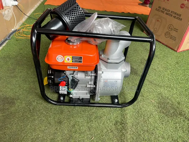 Leo Water Pump 6.5hp with 1 Year Warranty - 1