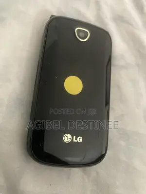 LG A250 Black Feature Phone