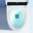 Intelligent Automatic WC with Heated Bidet Seat - 3