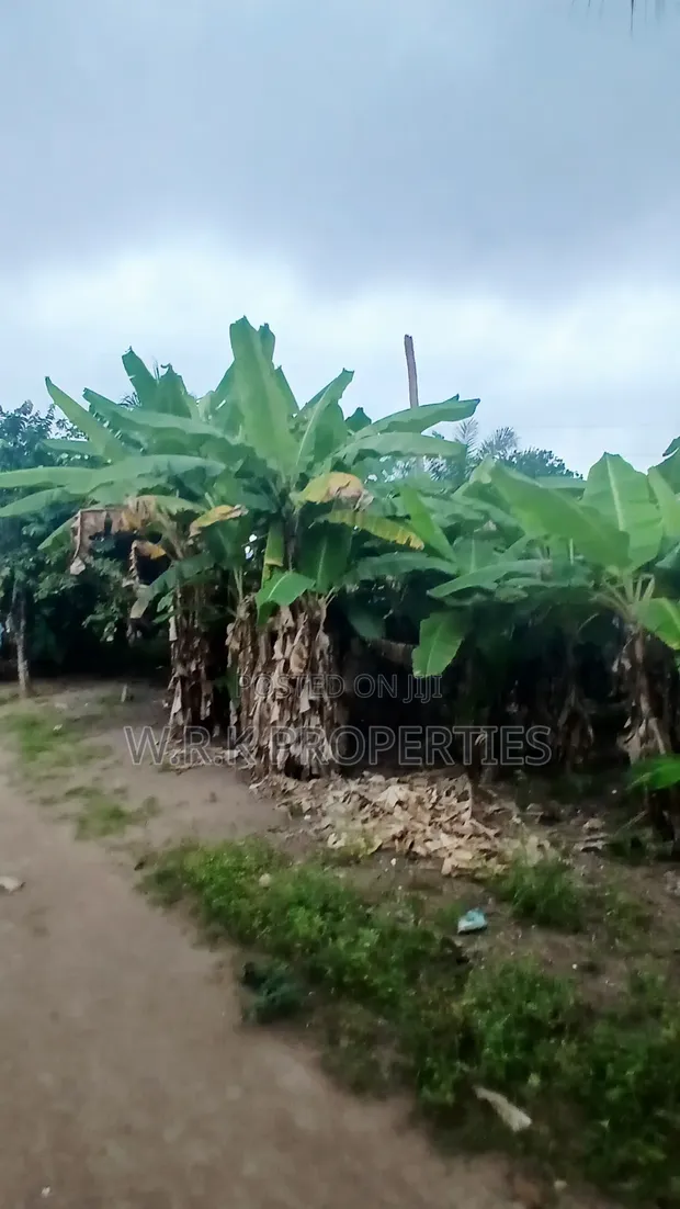 Plots of Land for Sale in Koforidua Asorkore Dabiaem - 1