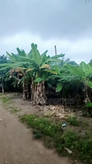 Plots of Land for Sale in Koforidua Asorkore Dabiaem