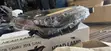 Toyota Corolla 2017-2019 Left Headlight - 2