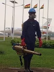 Pest Patrol Solutions - Professional Fumigation & Pest Control - 2