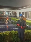 Pest Patrol Solutions - Professional Fumigation & Pest Control - 4