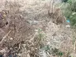Half Plot Land with 4-Bedroom Apartment Footings for Sale in Bawaleshi - 2