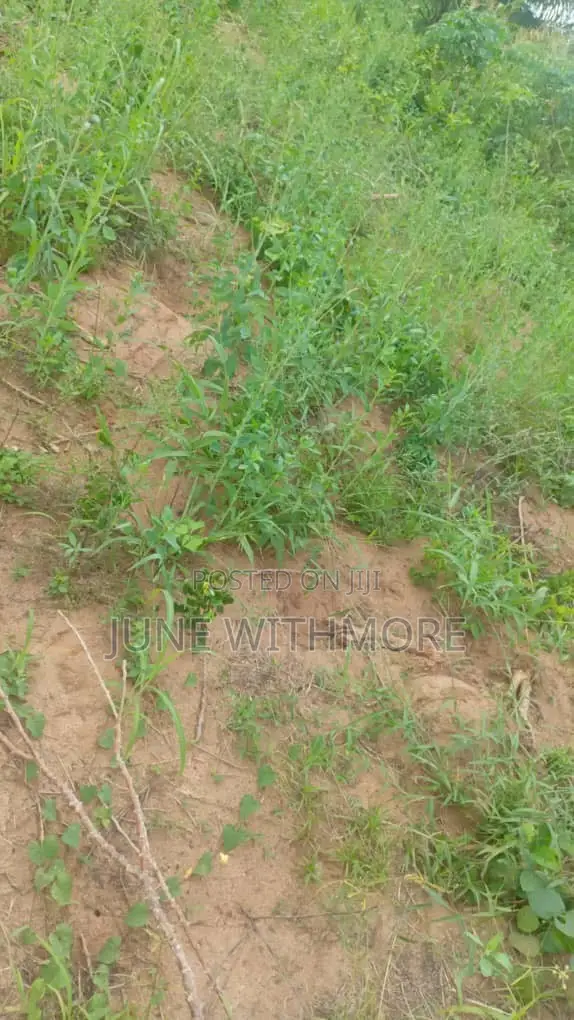 Huge Land for Rent/Lease in Ketu South - 1