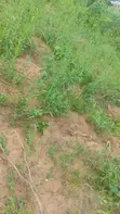 Huge Land for Rent/Lease in Ketu South - 1
