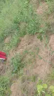 Huge Land for Rent/Lease in Ketu South - 2