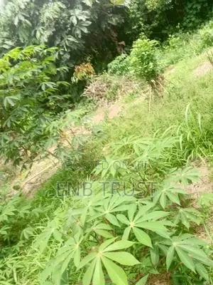 1 Acre Roadside Land for Sale, Kwahu Bepong