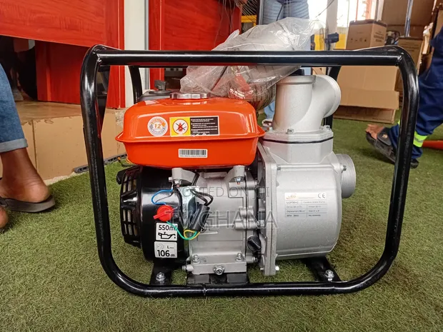Powerful LEO 3 6.5HP Water Pump - Farming & Irrigation - 1