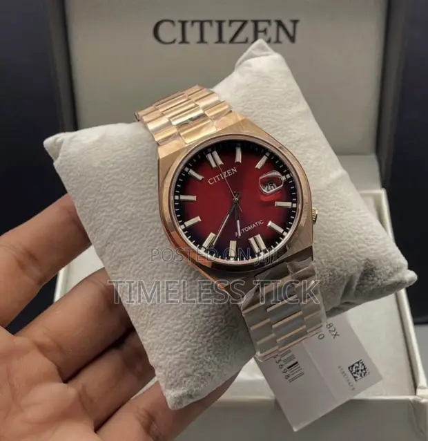 Citizen Eco-Drive Watch - 1