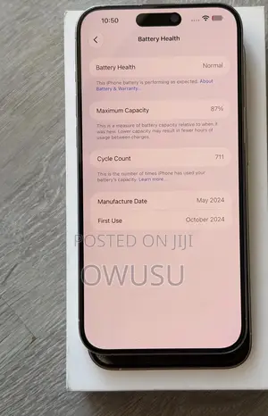 Apple iPhone 15 Pro Max 256GB Silver