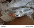 Toyota Camry Headlights (2015-2017) - 2