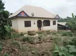 Pig Farm for Sale at Mankranso Dwenewoho - 2