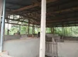Pig Farm for Sale at Mankranso Dwenewoho - 3