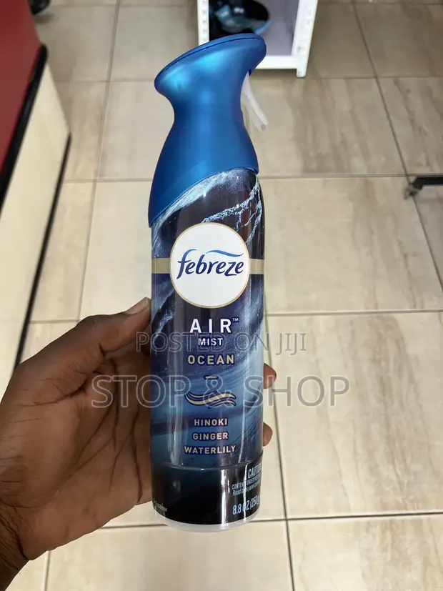 Febreze Air Freshener - 1