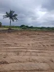 Land for Sale - Kojo Ashong & Agbazo, Amasaman - 3