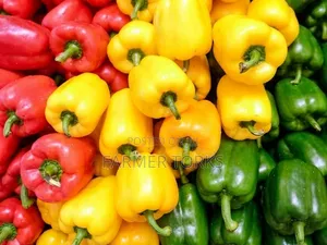 Farm-Fresh Bell Peppers
