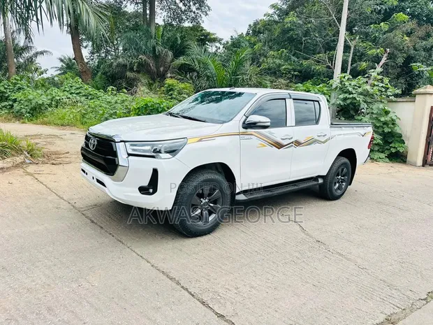 Toyota Hilux 2019 Pearl - 1