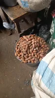 Fresh Bitter Cola - 2