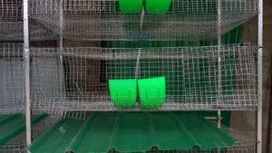 12-Unit Rabbit Cage with Automatic Drinker & Feeder