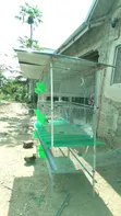 12-Unit Rabbit Cage with Automatic Drinker & Feeder - 4