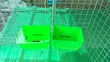 12-Unit Rabbit Cage with Automatic Drinker & Feeder - 5