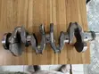 Hyundai Elantra Crankshaft - Brand New - 5