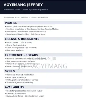 Professional Driver CV - 5 Years Experience