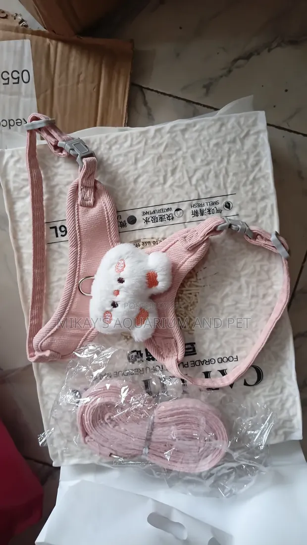 Cute Leashes and Harnesses for Kittens and Puppies - 1