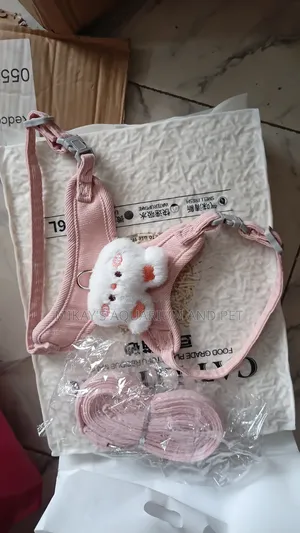 Cute Leashes and Harnesses for Kittens and Puppies
