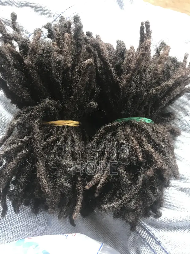 Natural Dreadlocks - 260 Strands - 1