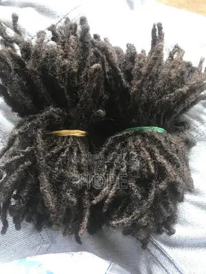 Natural Dreadlocks - 260 Strands