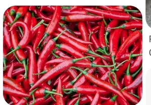 Chilli Pepper