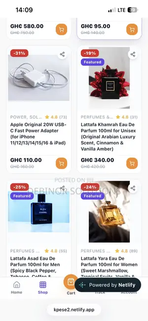Professional Shopping Website Development