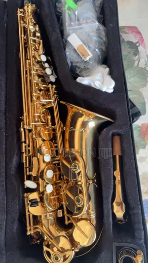 Sunsmile Golden Alto Saxophone - Like New
