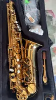 Sunsmile Golden Alto Saxophone - Like New - 1
