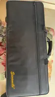 Sunsmile Golden Alto Saxophone - Like New - 2