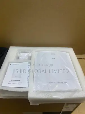 Grandstream GWN7660LR Outdoor WiFi 6 Access Point