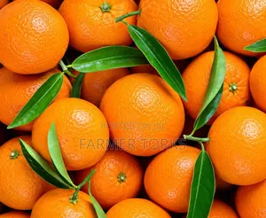 Foreign Tangerines