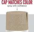 Rust-Oleum Stops Rust Desert Bisque Multi-Color Spray Paint, 12oz - 4