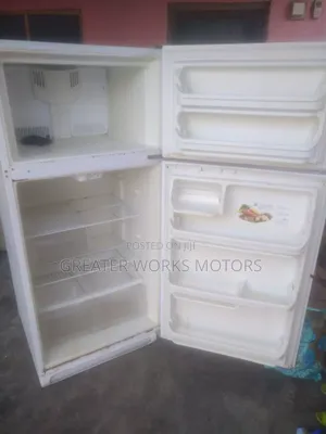 Frigidaire Fridge - Home Use