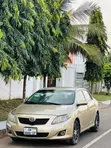 2010 Toyota Corolla LE Sedan - Gold - 2