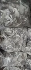 Fresh Oyster Mushroom - 1