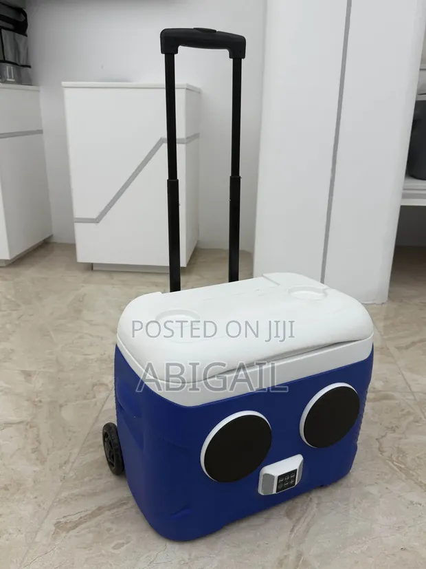 Imported Modernised Ice Chest with Music Speaker - 1