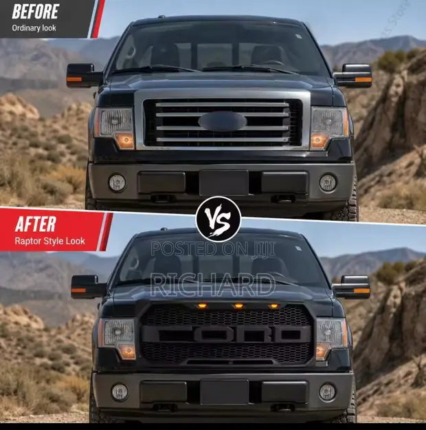 2009-2014 Ford F-150 Front Grill - 1