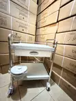 ABS/Stainless Steel Medicine Trolley (2 Steps, Double Drawer) - 2