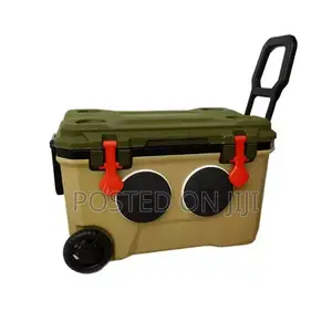 Imported Modernised Ice Chest with Music Speaker (68L)