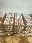Chicken Eggs - 4