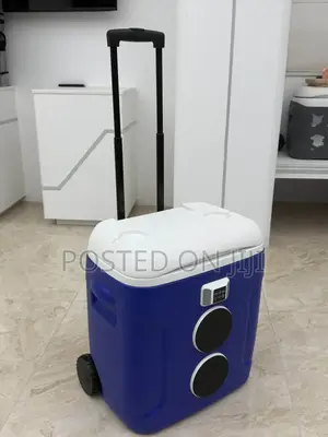 Imported Modernised Ice Chest with Music Speaker